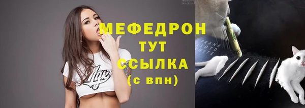 ПСИЛОЦИБИНОВЫЕ ГРИБЫ Гусь-Хрустальный