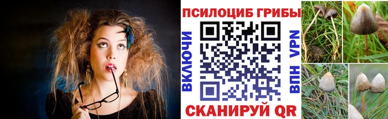 где продают наркотики  Октябрьск  Галлюциногенные грибы Cubensis 